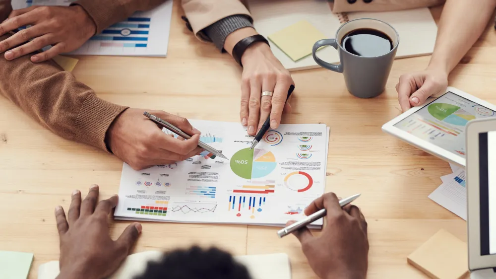 Pauwels Financials